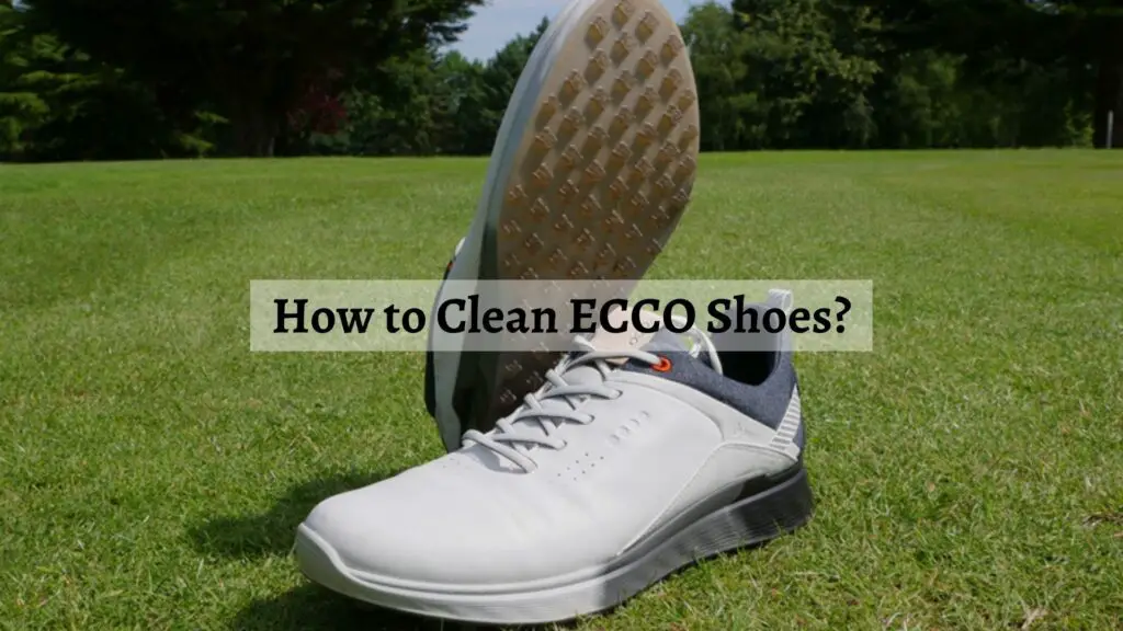 How to Clean ECCO Shoes?