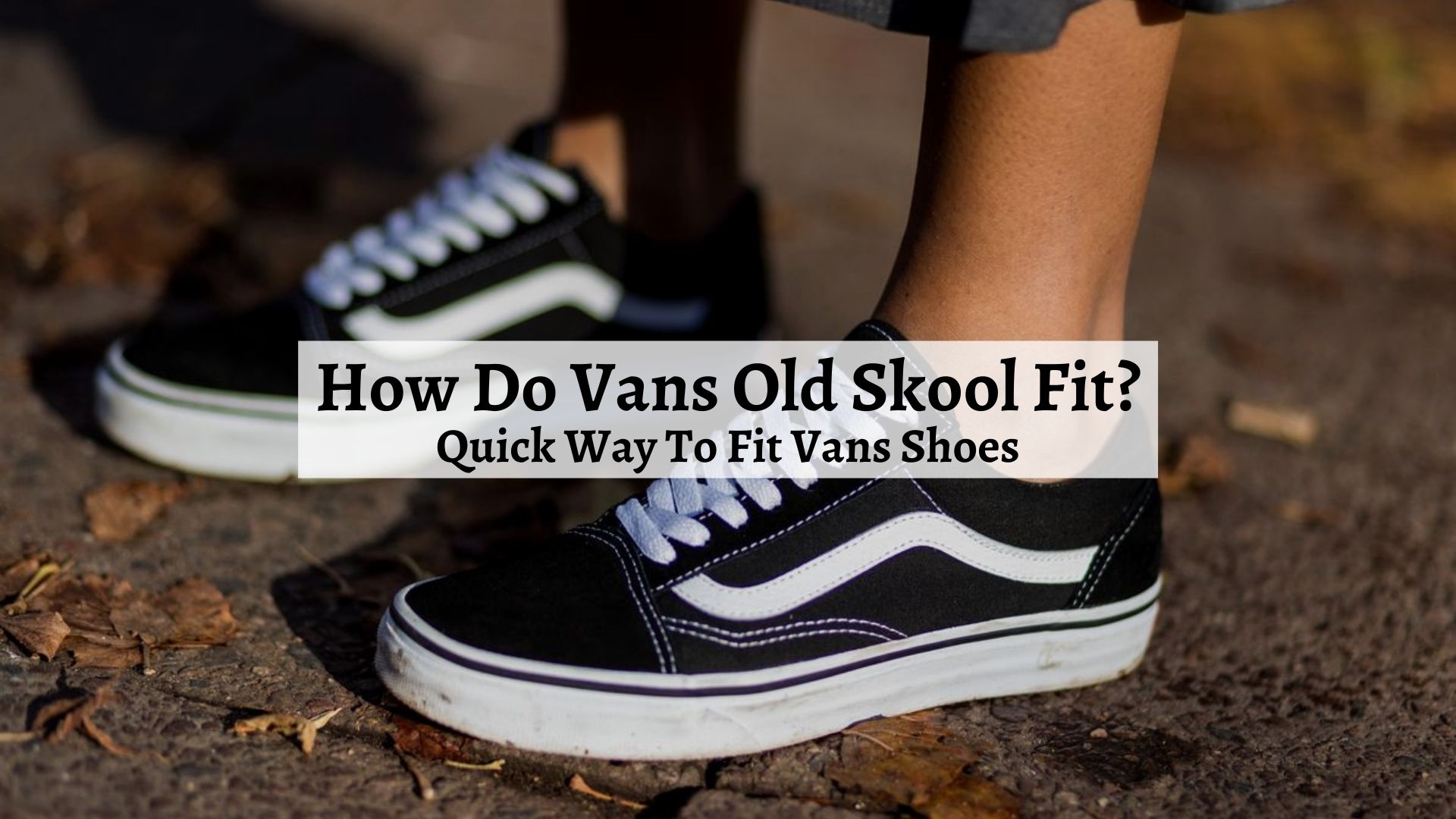 vans old skool black fit