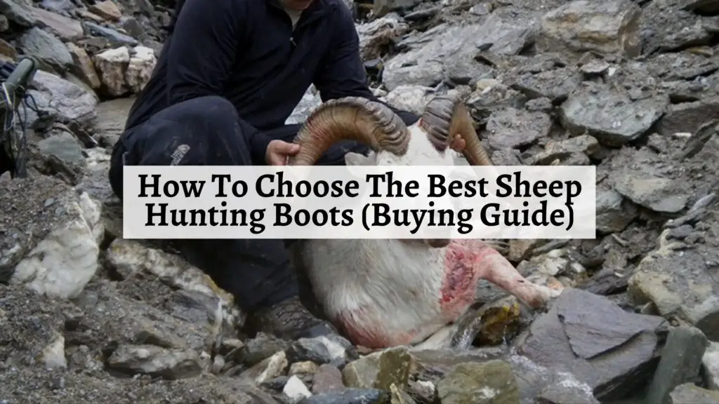 How To Choose The Best Sheep Hunting Boots
