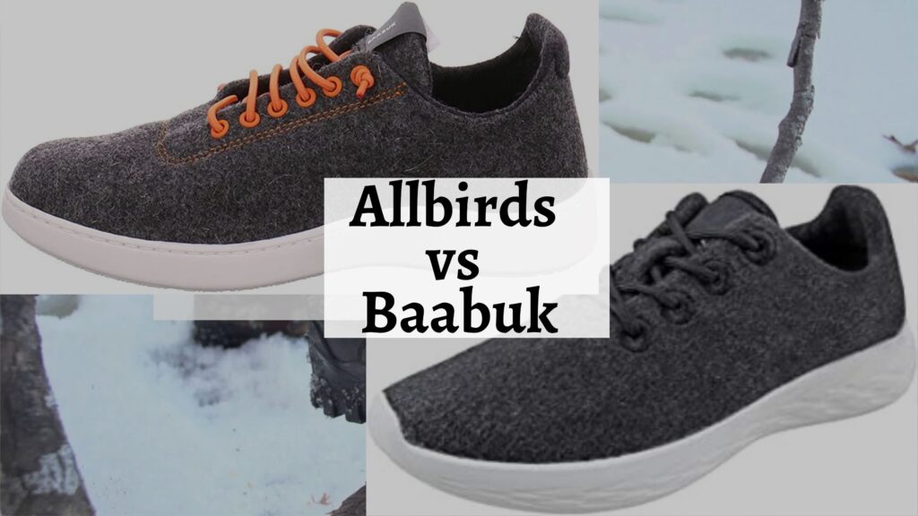 Allbirds vs Baabuk Which One Is Better to Wear