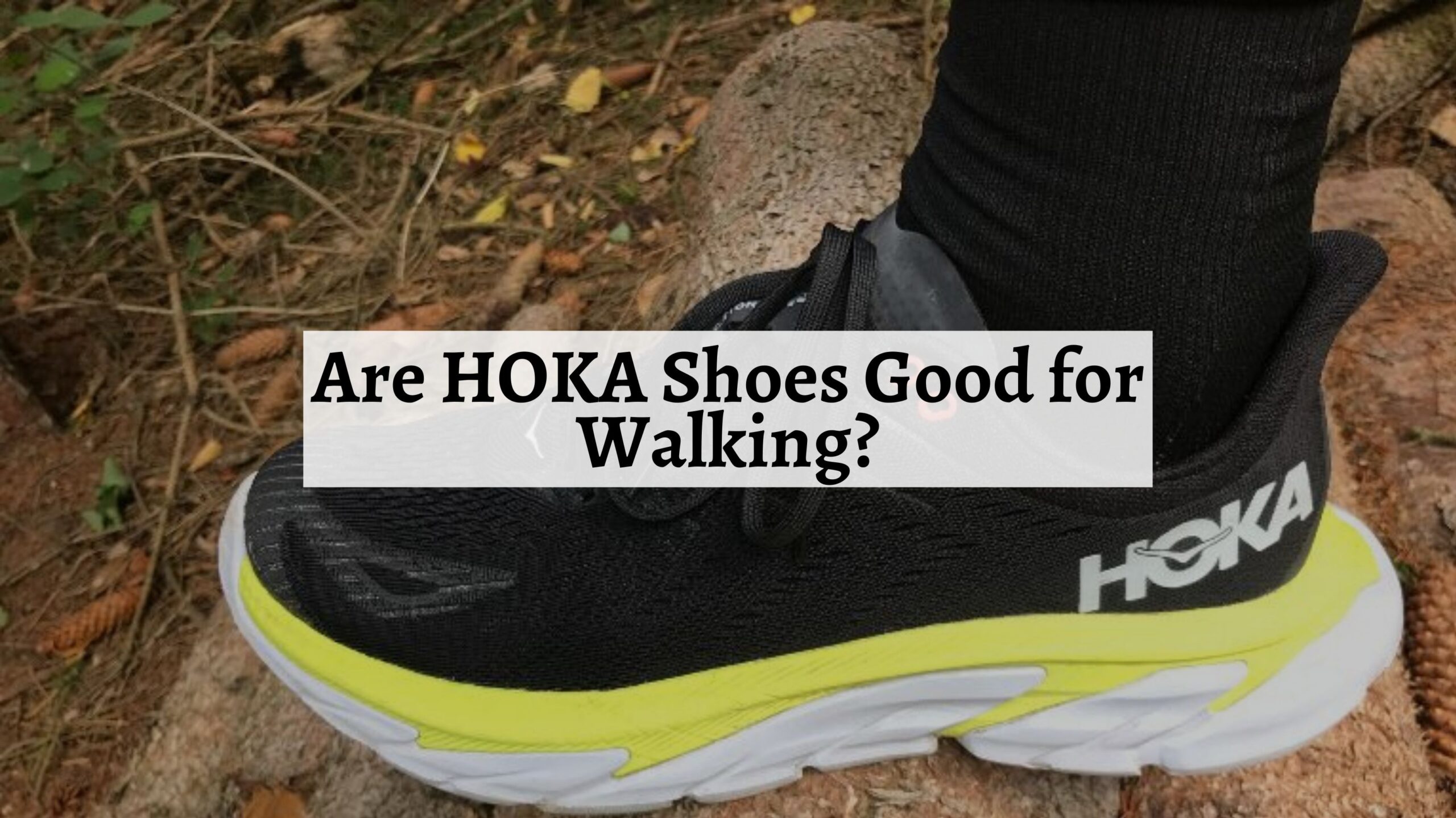 are-hoka-shoes-good-for-walking-shoe-filter