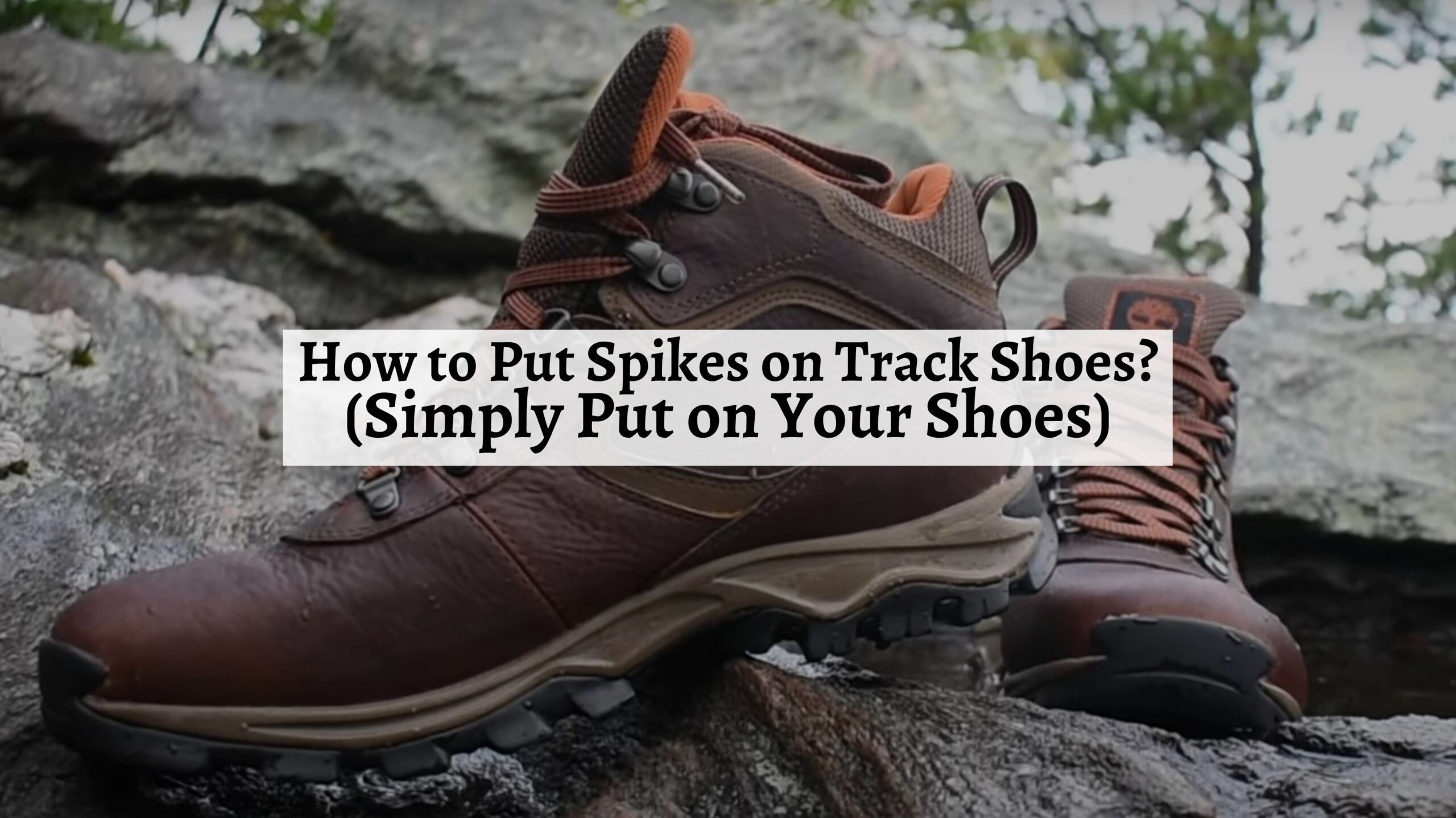 Are Timberlands Good for Hiking? Get the Best Shoes to Enjoy the Time ...