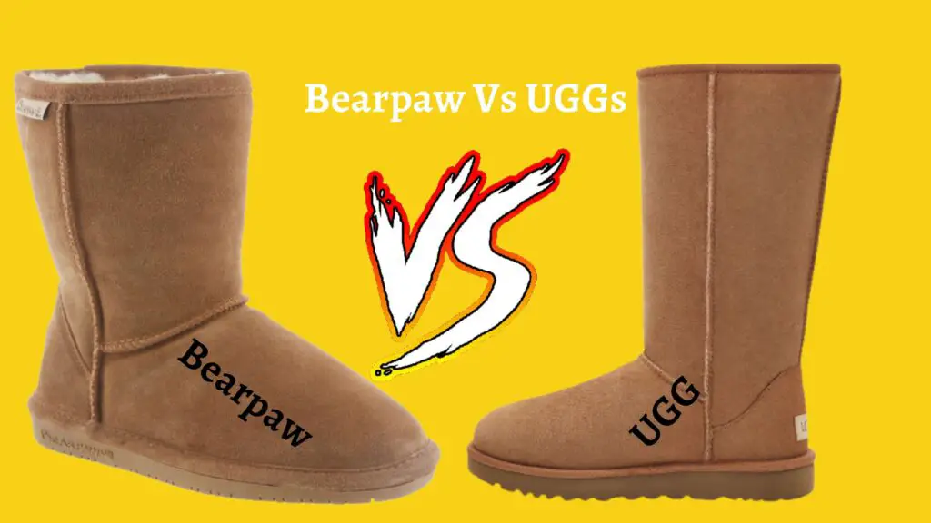 bearpaw vs uggs