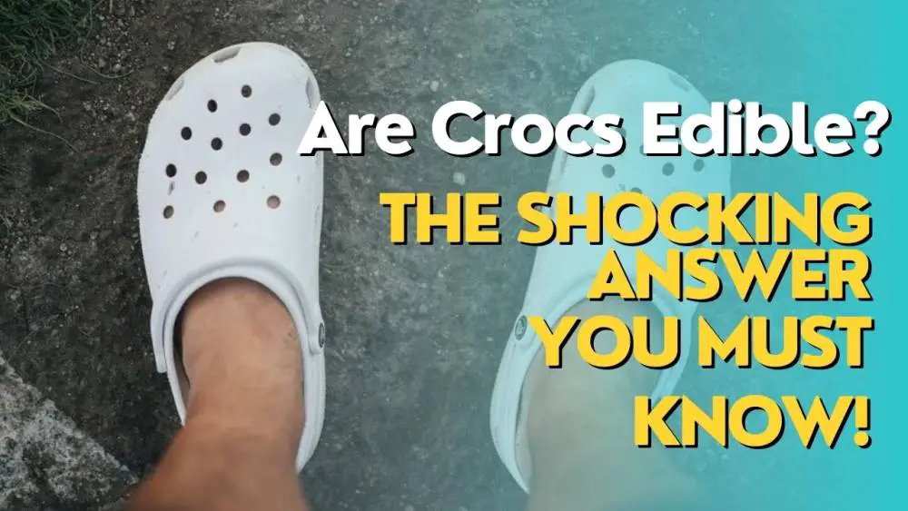 Are Crocs Edible The Shocking Answer You Must Know!