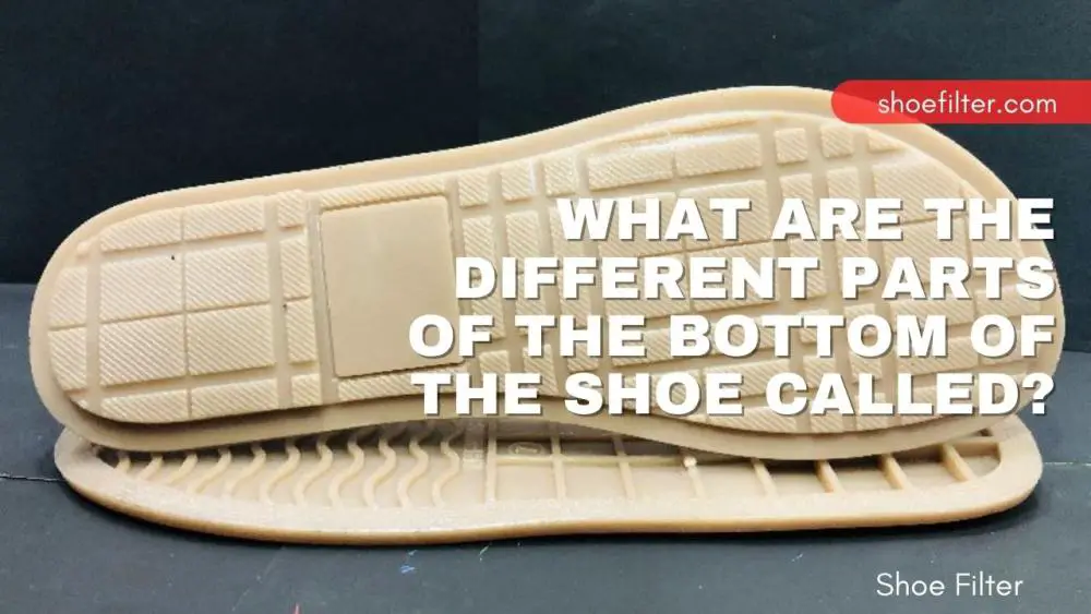 What are the Different Parts of the Bottom of the Shoe Called?