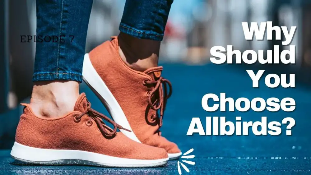 Why Should You Choose Allbirds?